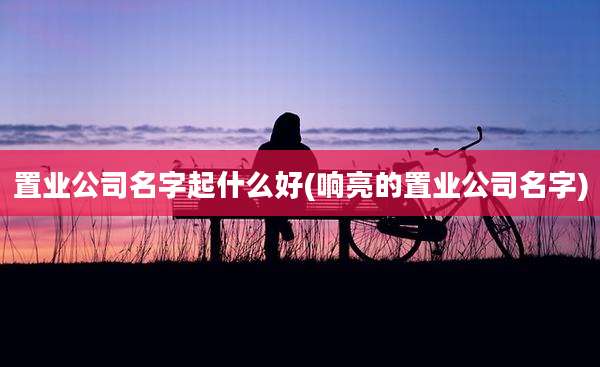 置业公司名字起什么好(响亮的置业公司名字)
