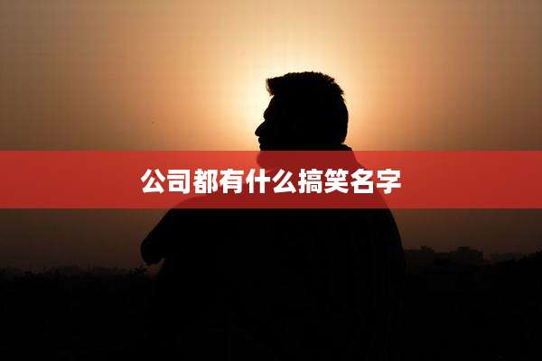 公司都有什么搞笑名字