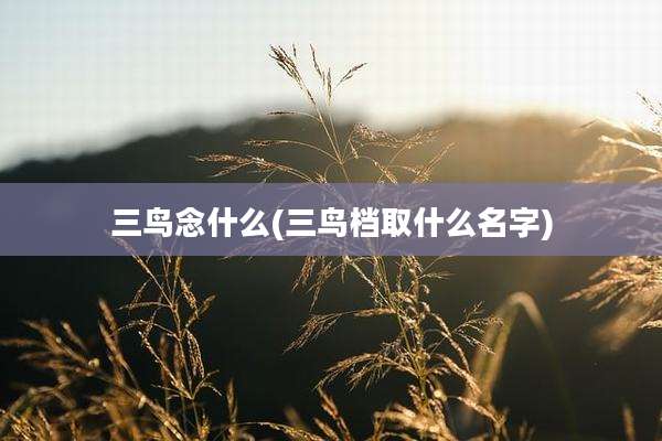 三鸟念什么(三鸟档取什么名字)