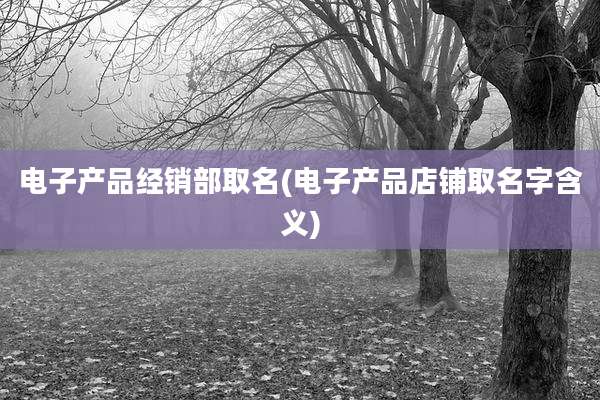 电子产品经销部取名(电子产品店铺取名字含义)