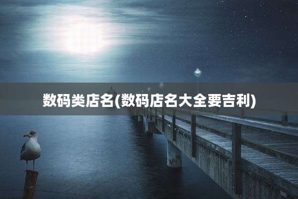 数码类店名(数码店名大全要吉利)