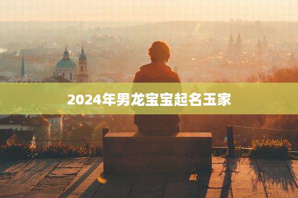 2024年男龙宝宝起名玉家