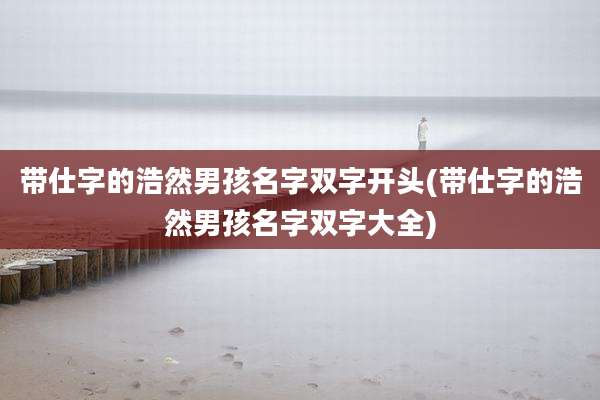 带仕字的浩然男孩名字双字开头(带仕字的浩然男孩名字双字大全)