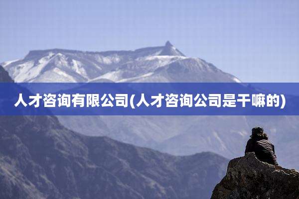 人才咨询有限公司(人才咨询公司是干嘛的)