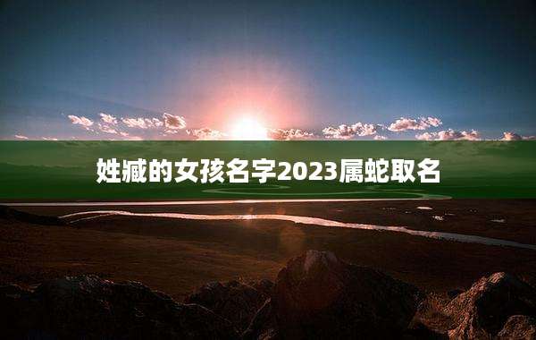 姓臧的女孩名字2023属蛇取名