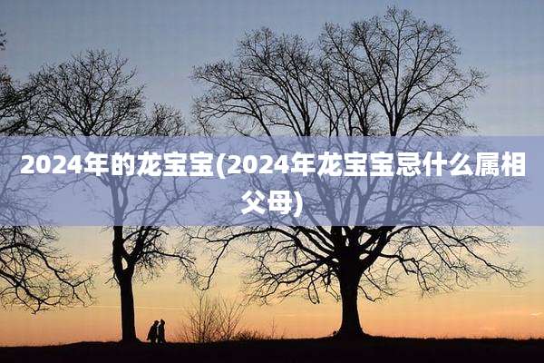 2024年的龙宝宝(2024年龙宝宝忌什么属相父母)