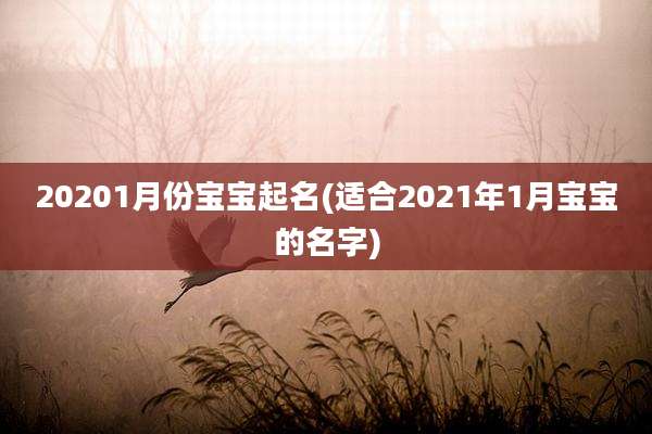 20201月份宝宝起名(适合2021年1月宝宝的名字)