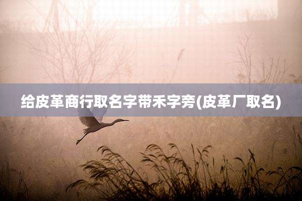 给皮革商行取名字带禾字旁(皮革厂取名)