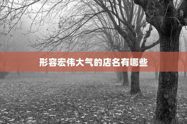 形容宏伟大气的店名有哪些
