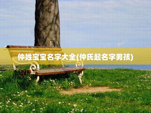 仲姓宝宝名字大全(仲氏起名字男孩)