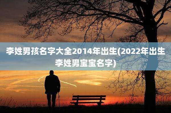 李姓男孩名字大全2014年出生(2022年出生李姓男宝宝名字)
