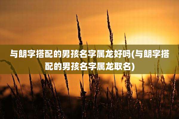 与朗字搭配的男孩名字属龙好吗(与朗字搭配的男孩名字属龙取名)