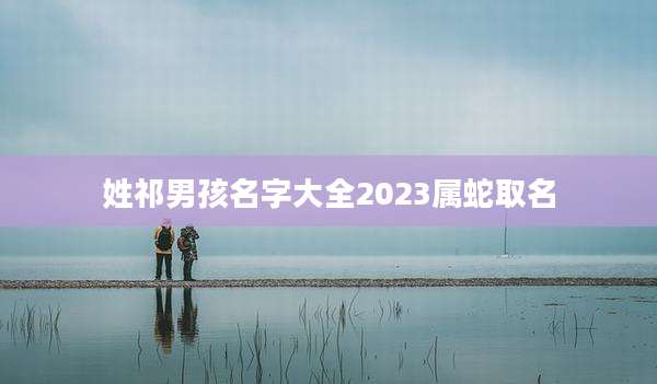 姓祁男孩名字大全2023属蛇取名