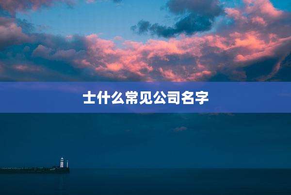 士什么常见公司名字
