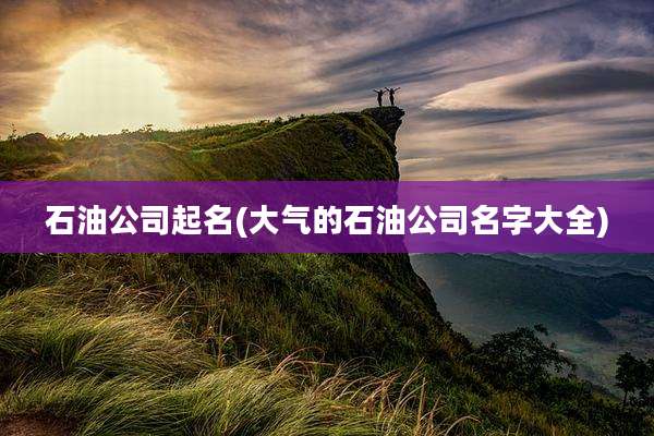 石油公司起名(大气的石油公司名字大全)