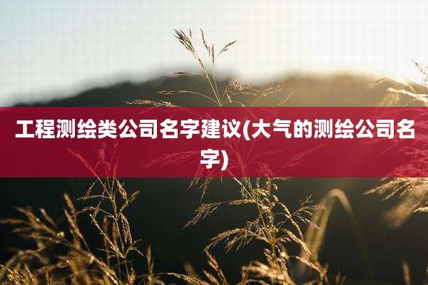 工程测绘类公司名字建议(大气的测绘公司名字)
