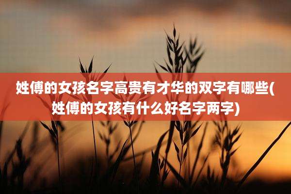 姓傅的女孩名字高贵有才华的双字有哪些(姓傅的女孩有什么好名字两字)