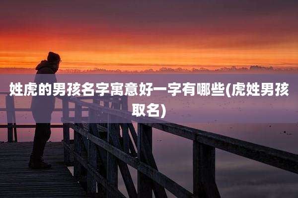 姓虎的男孩名字寓意好一字有哪些(虎姓男孩取名)