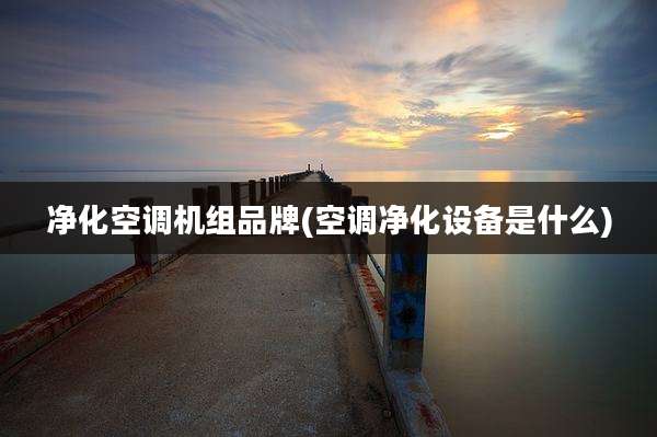 净化空调机组品牌(空调净化设备是什么)