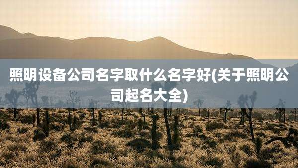 照明设备公司名字取什么名字好(关于照明公司起名大全)