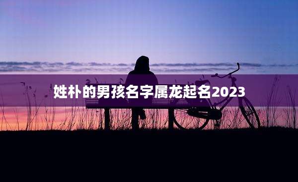 姓朴的男孩名字属龙起名2023