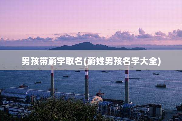 男孩带蔚字取名(蔚姓男孩名字大全)