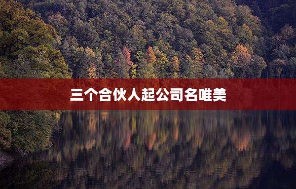 三个合伙人起公司名唯美