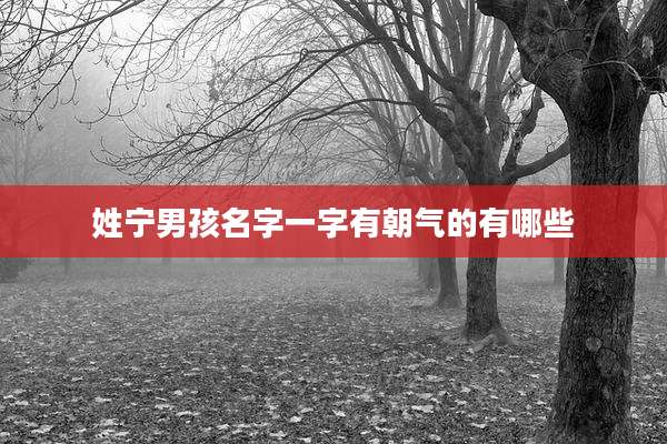 姓宁男孩名字一字有朝气的有哪些