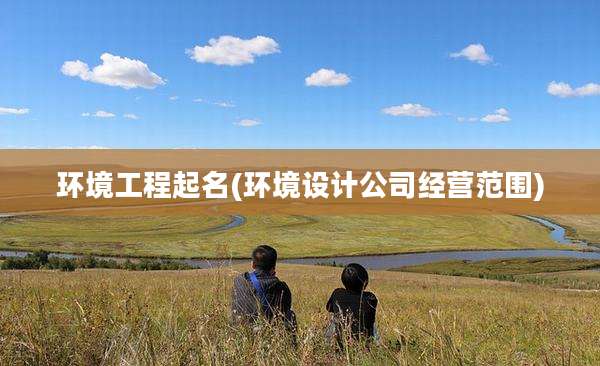环境工程起名(环境设计公司经营范围)