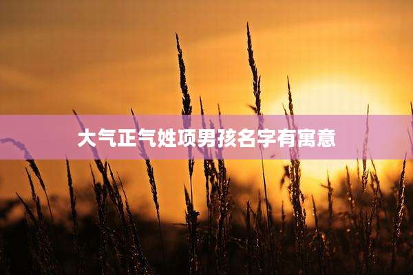 大气正气姓项男孩名字有寓意