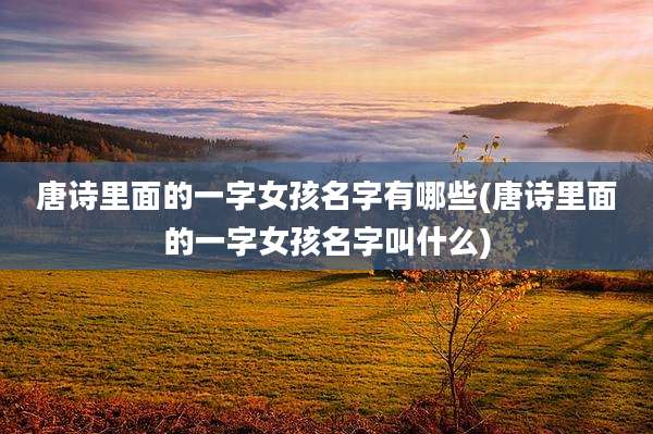 唐诗里面的一字女孩名字有哪些(唐诗里面的一字女孩名字叫什么)