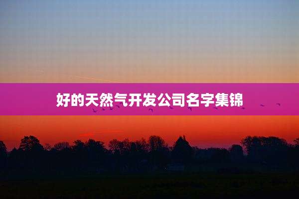 好的天然气开发公司名字集锦