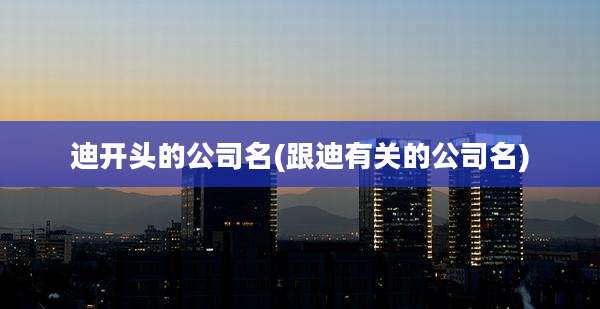迪开头的公司名(跟迪有关的公司名)