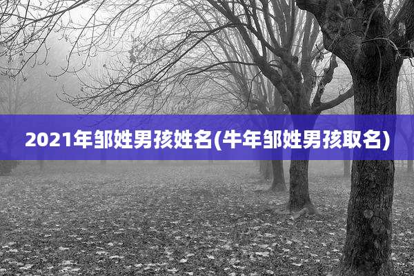 2021年邹姓男孩姓名(牛年邹姓男孩取名)