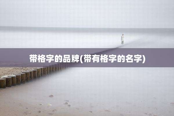 带格字的品牌(带有格字的名字)