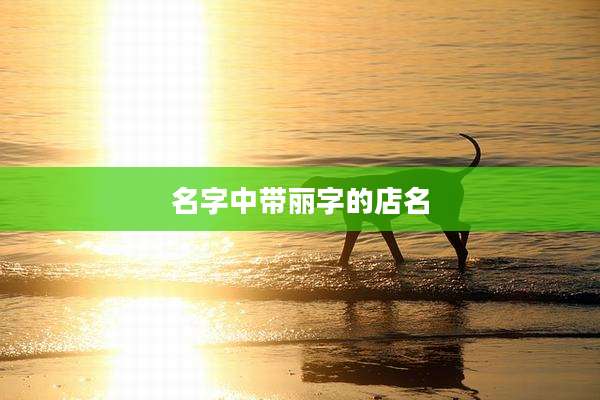名字中带丽字的店名