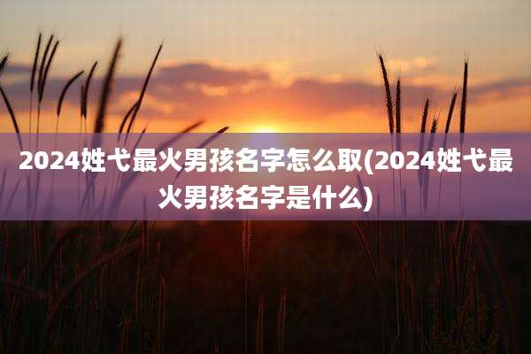 2024姓弋最火男孩名字怎么取(2024姓弋最火男孩名字是什么)