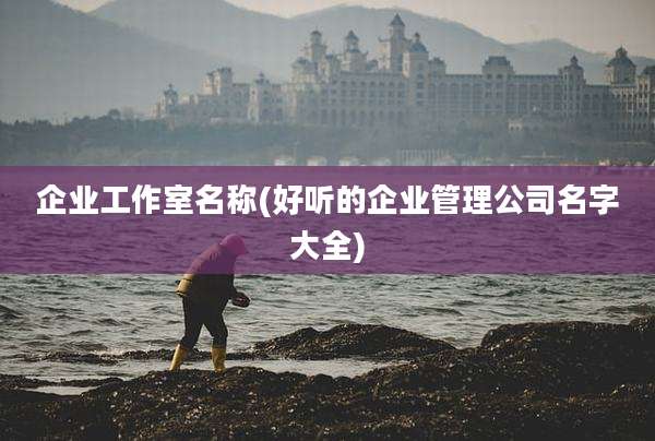 企业工作室名称(好听的企业管理公司名字大全)