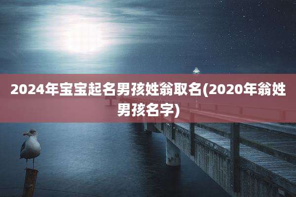 2024年宝宝起名男孩姓翁取名(2020年翁姓男孩名字)