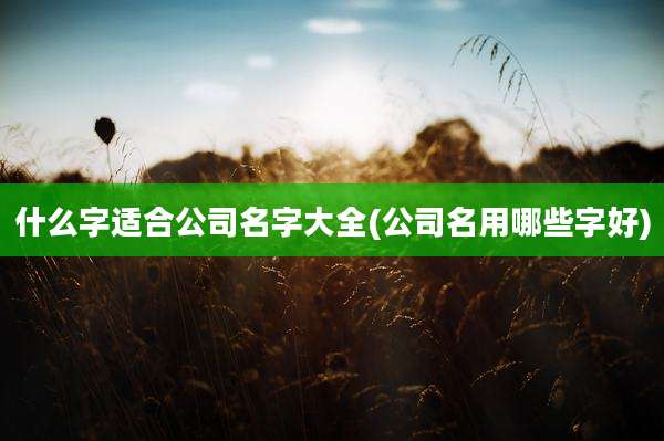 什么字适合公司名字大全(公司名用哪些字好)