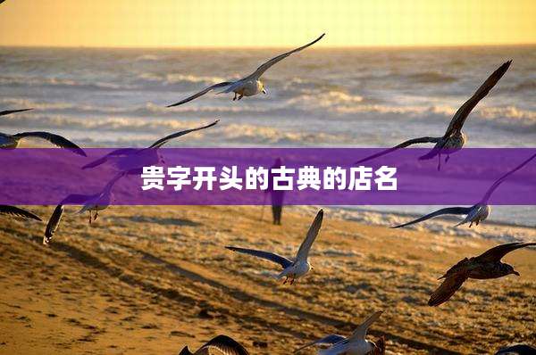 贵字开头的古典的店名
