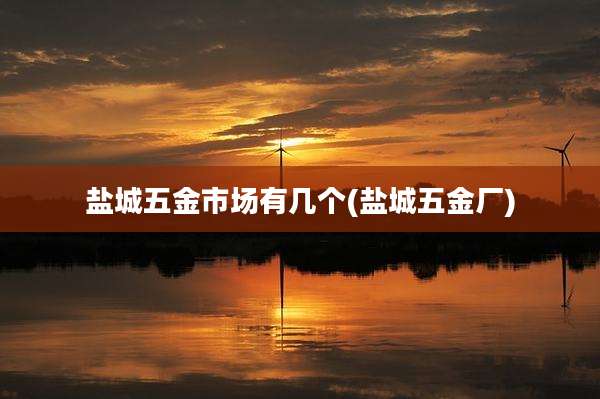 盐城五金市场有几个(盐城五金厂)
