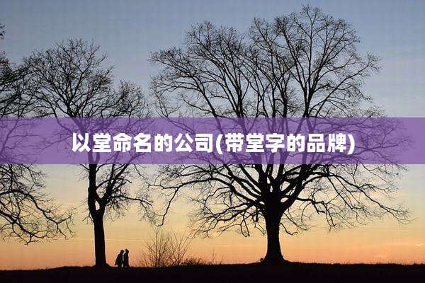 以堂命名的公司(带堂字的品牌)