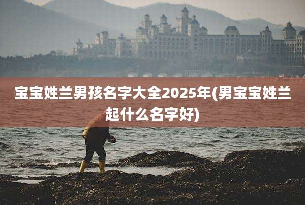 宝宝姓兰男孩名字大全2025年(男宝宝姓兰起什么名字好)