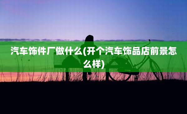 汽车饰件厂做什么(开个汽车饰品店前景怎么样)