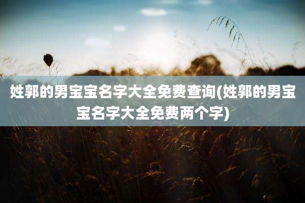 姓郭的男宝宝名字大全免费查询(姓郭的男宝宝名字大全免费两个字)