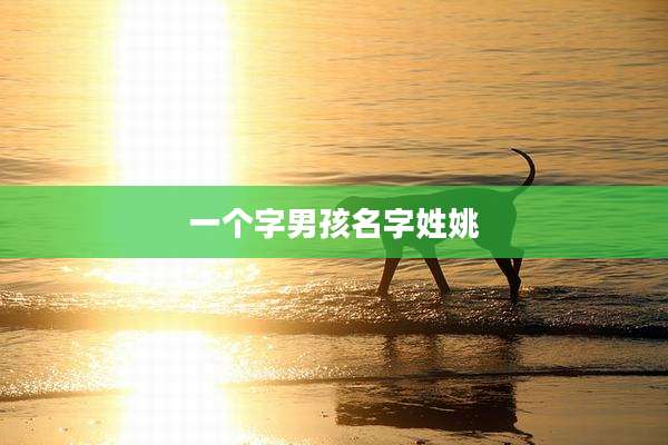 一个字男孩名字姓姚