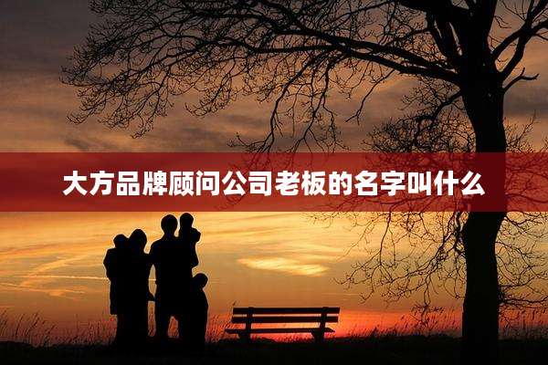 大方品牌顾问公司老板的名字叫什么