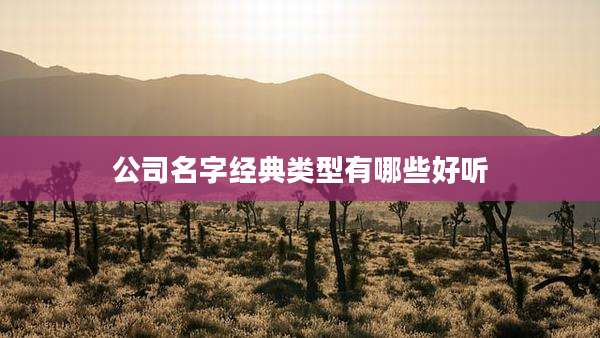 公司名字经典类型有哪些好听