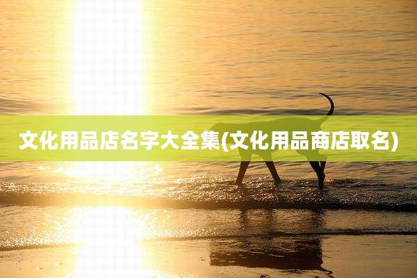 文化用品店名字大全集(文化用品商店取名)